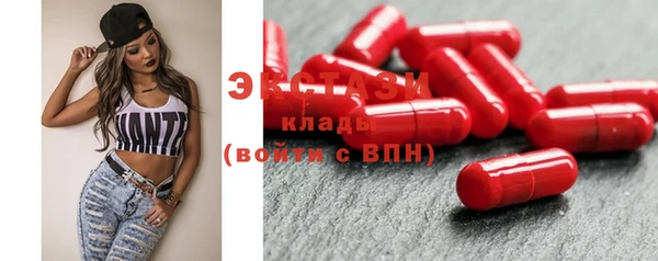 шишки Магас