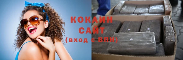шишки Магас