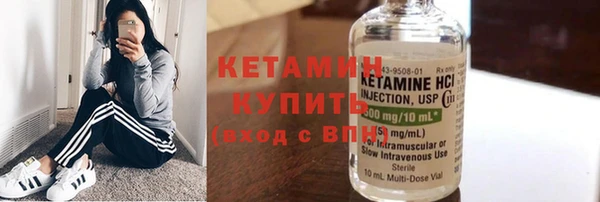 шишки Магас