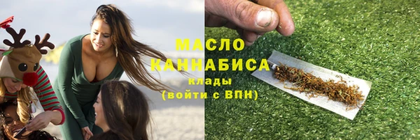шишки Магас