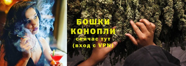 гидра Мегион
