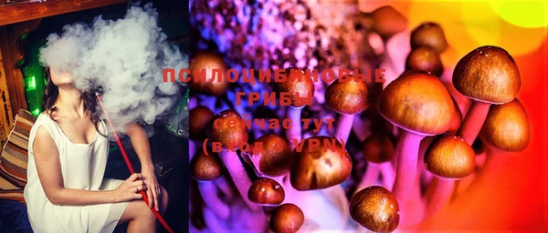 гидра Мегион